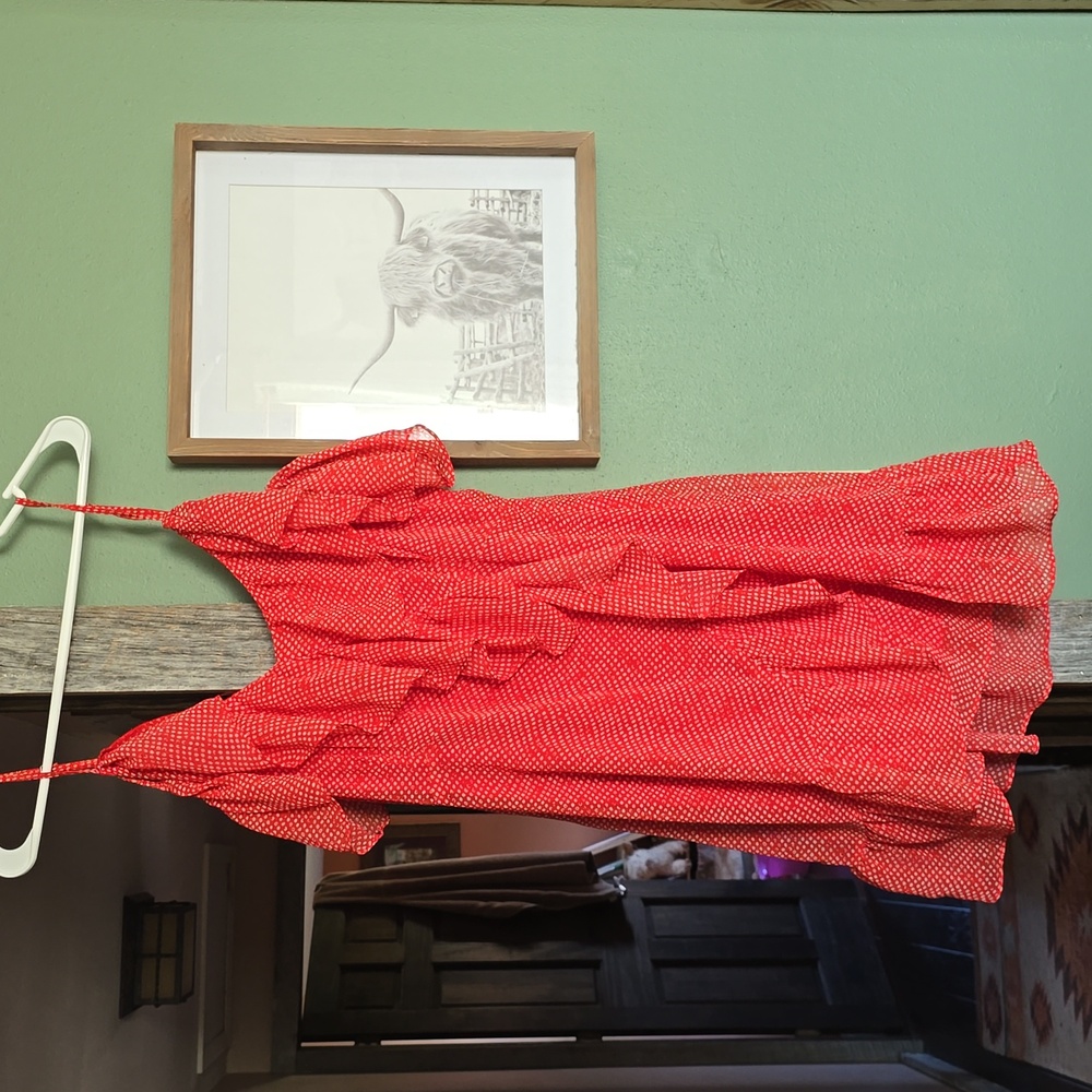 VICI Red Dress